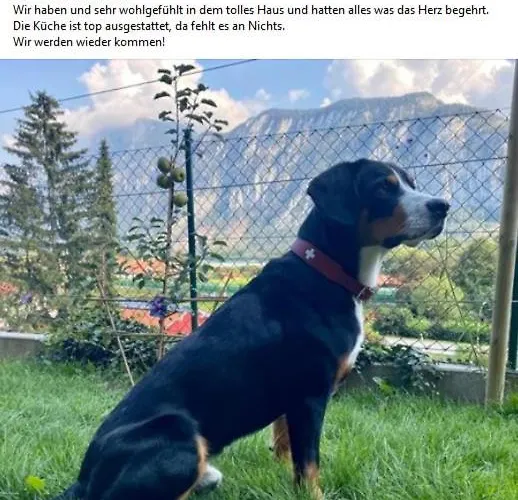 Kaiserblick